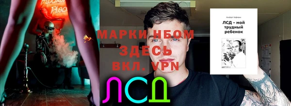 спайс Дмитриев
