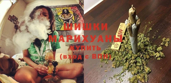 спайс Дмитриев