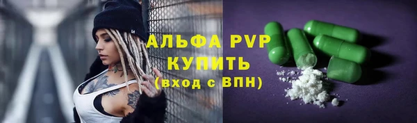 спайс Дмитриев