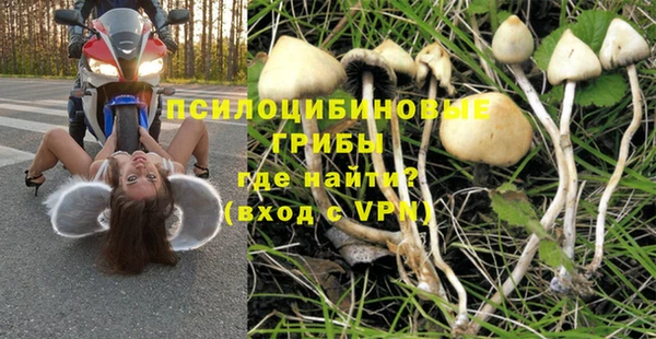 каннабис Дмитровск