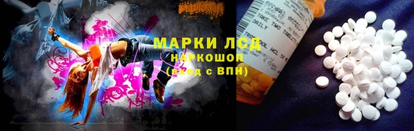 ГАЛЛЮЦИНОГЕННЫЕ ГРИБЫ Елизово